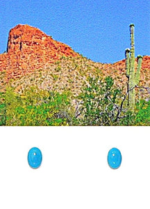 Sleeping Beauty turquoise (Globe, AZ) post stud sterling silver earrings