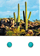 Load image into Gallery viewer, Carico Lake turquoise (Nevada) cabochon stud post sterling earrings (6mm)
