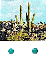 Load image into Gallery viewer, Carico Lake turquoise (Nevada) cabochon stud post sterling earrings (6mm)
