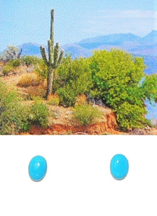 Kingman turquoise cabochon stud post sterling silver earrings (6x8mm)