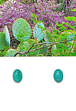 Load image into Gallery viewer, Carico Lake turquoise (Nevada) cabochon stud post sterling earrings (6x8mm)
