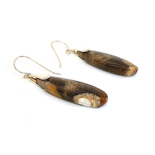 Load image into Gallery viewer, Petrified peanut wood &amp; sterling teardrop earrings with French wires
