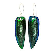 Load image into Gallery viewer, Genuine Emerald (Jewel) beetle wing earrings
