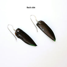 Load image into Gallery viewer, Genuine Emerald (Jewel) beetle wing earrings
