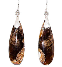 Load image into Gallery viewer, Petrified peanut wood &amp; sterling teardrop earrings with French wires
