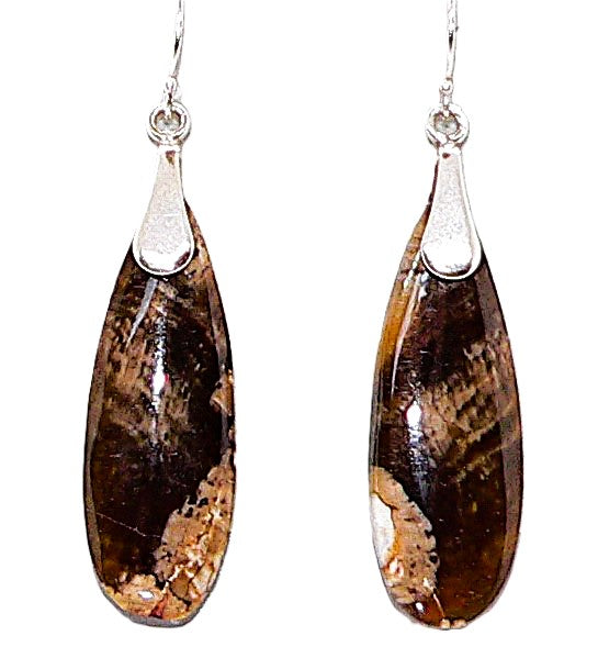 Petrified peanut wood & sterling teardrop earrings with French wires