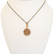 Load image into Gallery viewer, Ancient bronze Griffin coin replica pendant on brass chain
