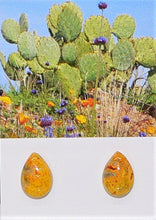 Load image into Gallery viewer, Bumblebee jasper teardrop stud earrings with sterling silver posts
